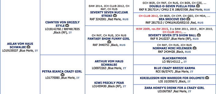 Aslan pedigree