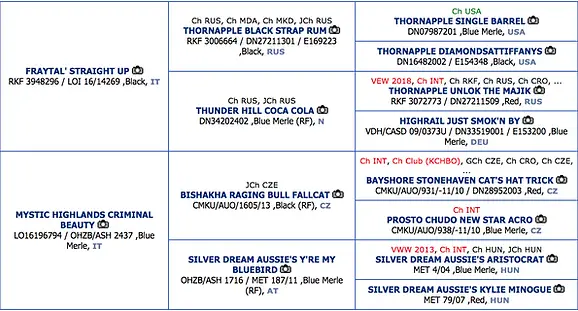 Black's pedigree Black's pedigree