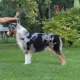 Xena